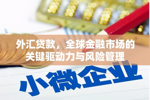 沙湾外汇贷款，全球金融市场的关键驱动力与风险管理