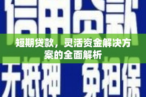 沙湾短期贷款，灵活资金解决方案的全面解析