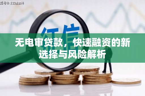 沙湾无电审贷款，快速融资的新选择与风险解析