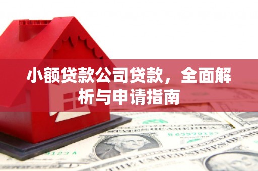 沙湾小额贷款公司贷款，全面解析与申请指南