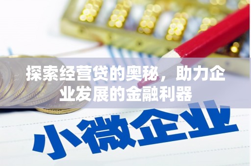 沙湾探索经营贷的奥秘，助力企业发展的金融利器