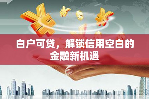 沙湾白户可贷，解锁信用空白的金融新机遇