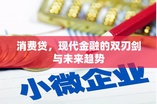 沙湾消费贷，现代金融的双刃剑与未来趋势