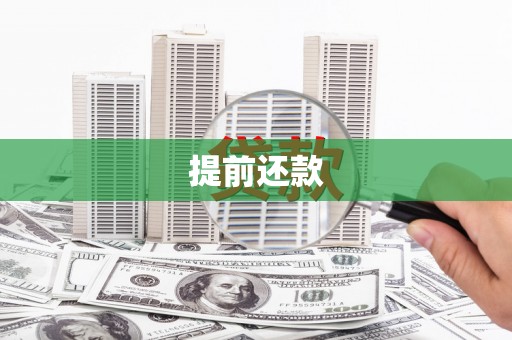 沙湾提前还款