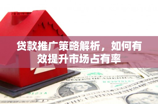 沙湾贷款推广策略解析，如何有效提升市场占有率
