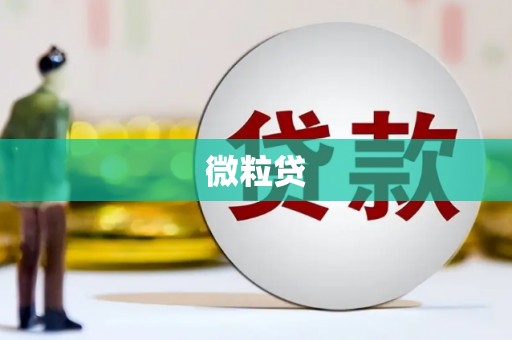 沙湾微粒贷