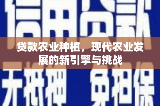 沙湾贷款农业种植，现代农业发展的新引擎与挑战