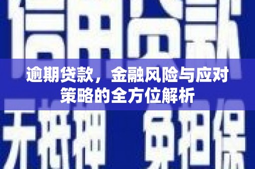 沙湾逾期贷款，金融风险与应对策略的全方位解析