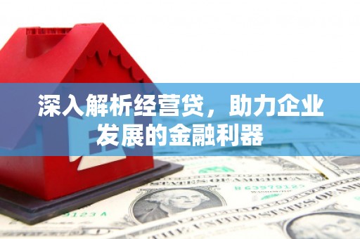 沙湾深入解析经营贷，助力企业发展的金融利器