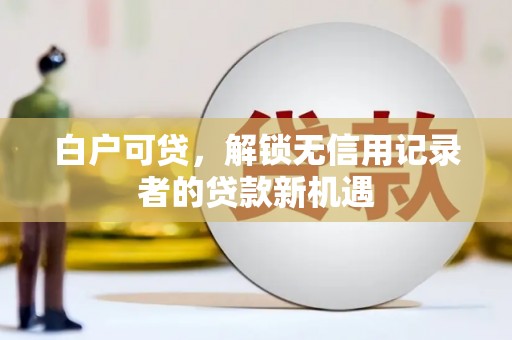沙湾白户可贷，解锁无信用记录者的贷款新机遇