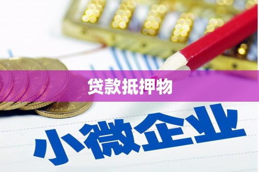 沙湾贷款抵押物