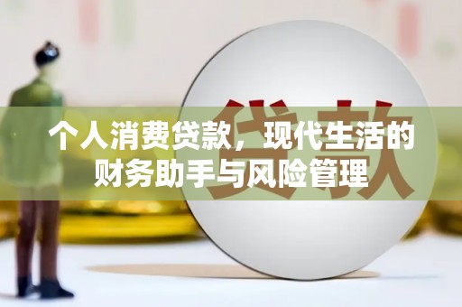 沙湾个人消费贷款，现代生活的财务助手与风险管理