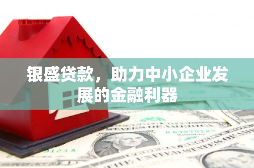 沙湾银盛贷款，助力中小企业发展的金融利器