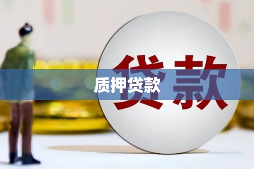 沙湾质押贷款