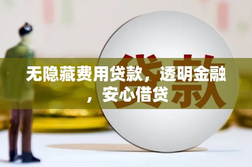 沙湾无隐藏费用贷款，透明金融，安心借贷