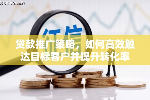 沙湾贷款推广策略，如何高效触达目标客户并提升转化率