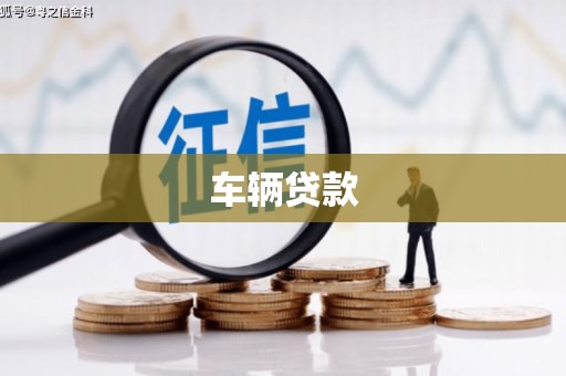 沙湾车辆贷款