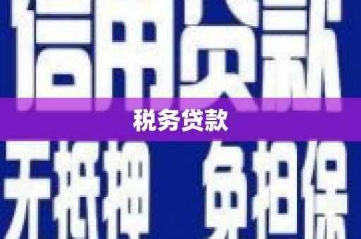 沙湾税务贷款