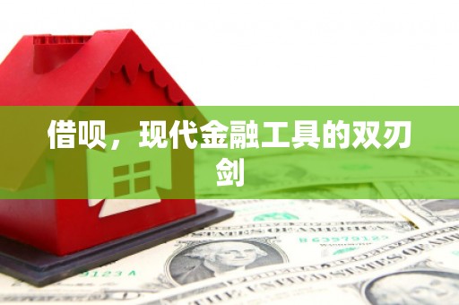 沙湾借呗，现代金融工具的双刃剑
