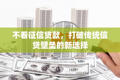 沙湾不看征信贷款，打破传统信贷壁垒的新选择