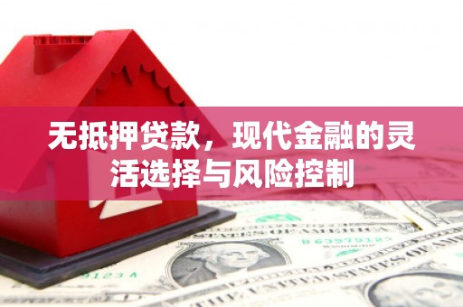 沙湾无抵押贷款，现代金融的灵活选择与风险控制