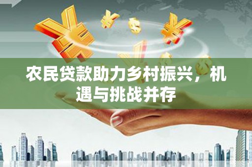 沙湾农民贷款助力乡村振兴，机遇与挑战并存