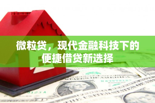 沙湾微粒贷，现代金融科技下的便捷借贷新选择