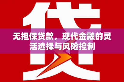 沙湾无担保贷款，现代金融的灵活选择与风险控制