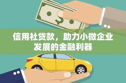 沙湾信用社贷款，助力小微企业发展的金融利器