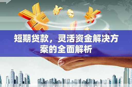 沙湾短期贷款，灵活资金解决方案的全面解析