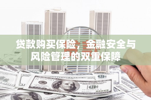 沙湾贷款购买保险，金融安全与风险管理的双重保障