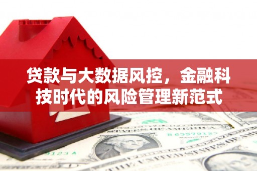 沙湾贷款与大数据风控，金融科技时代的风险管理新范式