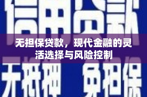 沙湾无担保贷款，现代金融的灵活选择与风险控制