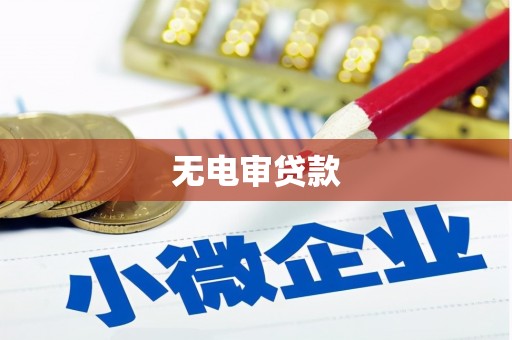 沙湾无电审贷款
