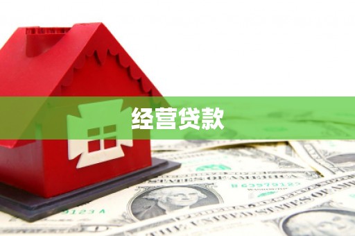 沙湾经营贷款