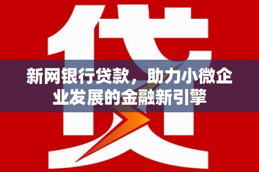 沙湾新网银行贷款，助力小微企业发展的金融新引擎
