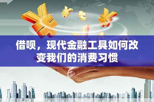 沙湾借呗，现代金融工具如何改变我们的消费习惯