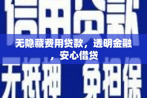 沙湾无隐藏费用贷款，透明金融，安心借贷