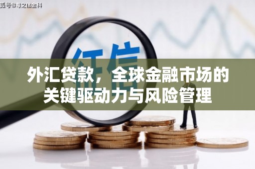 沙湾外汇贷款，全球金融市场的关键驱动力与风险管理