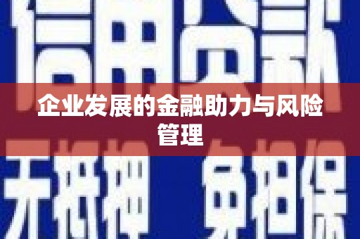 沙湾企业发展的金融助力与风险管理