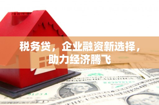 沙湾税务贷，企业融资新选择，助力经济腾飞