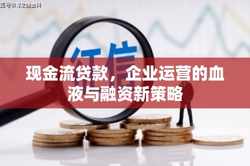 沙湾现金流贷款，企业运营的血液与融资新策略