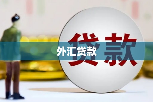 沙湾外汇贷款
