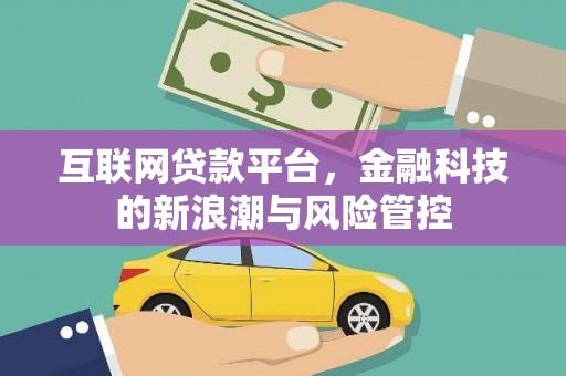 沙湾互联网贷款平台，金融科技的新浪潮与风险管控