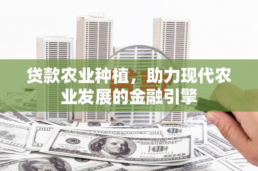 沙湾贷款农业种植，助力现代农业发展的金融引擎