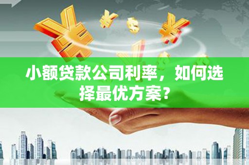 沙湾小额贷款公司利率，如何选择最优方案？