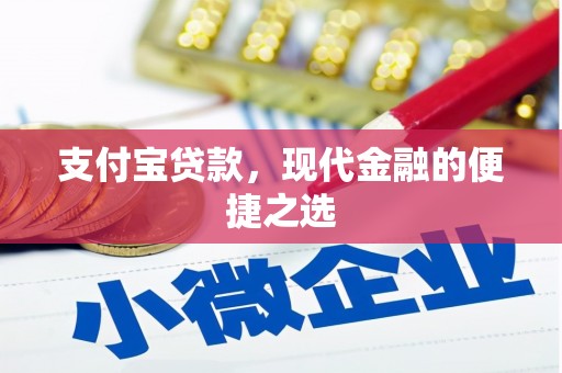 沙湾支付宝贷款，现代金融的便捷之选