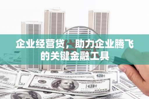 沙湾企业经营贷，助力企业腾飞的关键金融工具