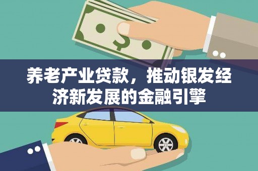 沙湾养老产业贷款，推动银发经济新发展的金融引擎