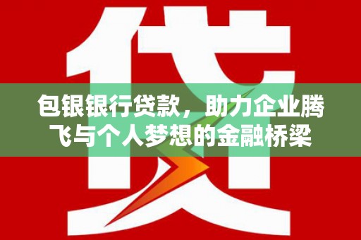 沙湾包银银行贷款，助力企业腾飞与个人梦想的金融桥梁